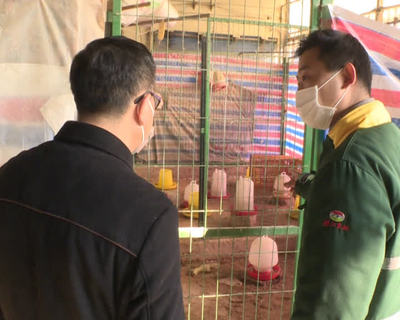 家禽市场监管风暴 402家经营户被关停背后