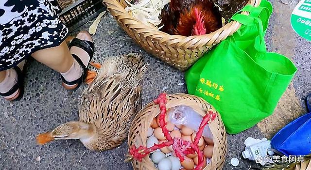 40度高温也阻挡不了人们赶场，重庆渝北这个赶场点，有何魔力——家禽销售