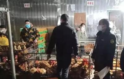 禽类与蛋类市场供应充足 消费者无需担忧，家禽销售稳步增长