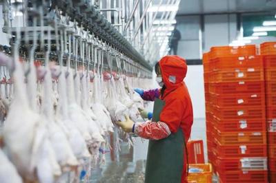 畜牧业创新发展八大模式探析 浙江家禽销售实践值得关注