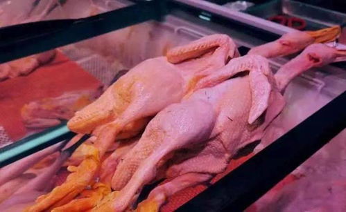 鸭力好大，中秋宴上海家禽美食指南 准备妥当了吗？