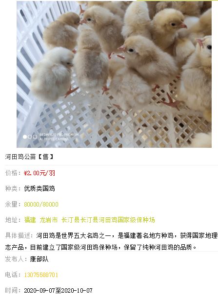 中速鸡领跑国鸡市场全面上涨，单斤增长0.37元，家禽销售行情看涨